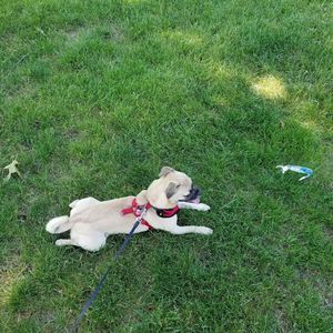 Meet your Posher, Bill